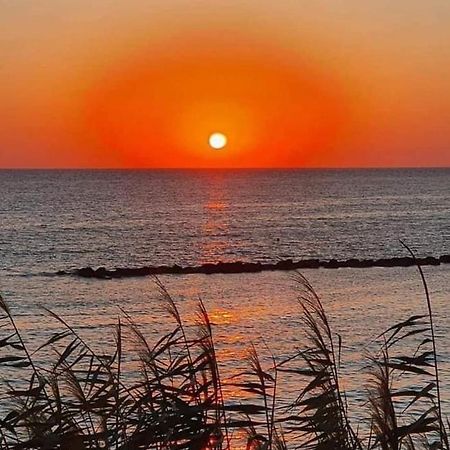 Elena'S Guest House A Paphos ภายนอก รูปภาพ
