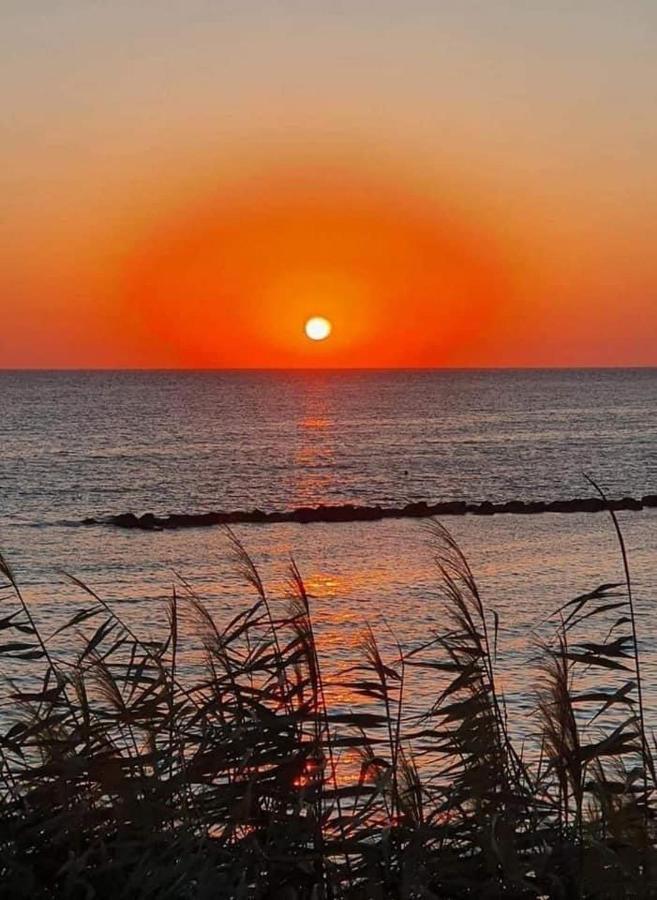 Elena'S Guest House A Paphos ภายนอก รูปภาพ
